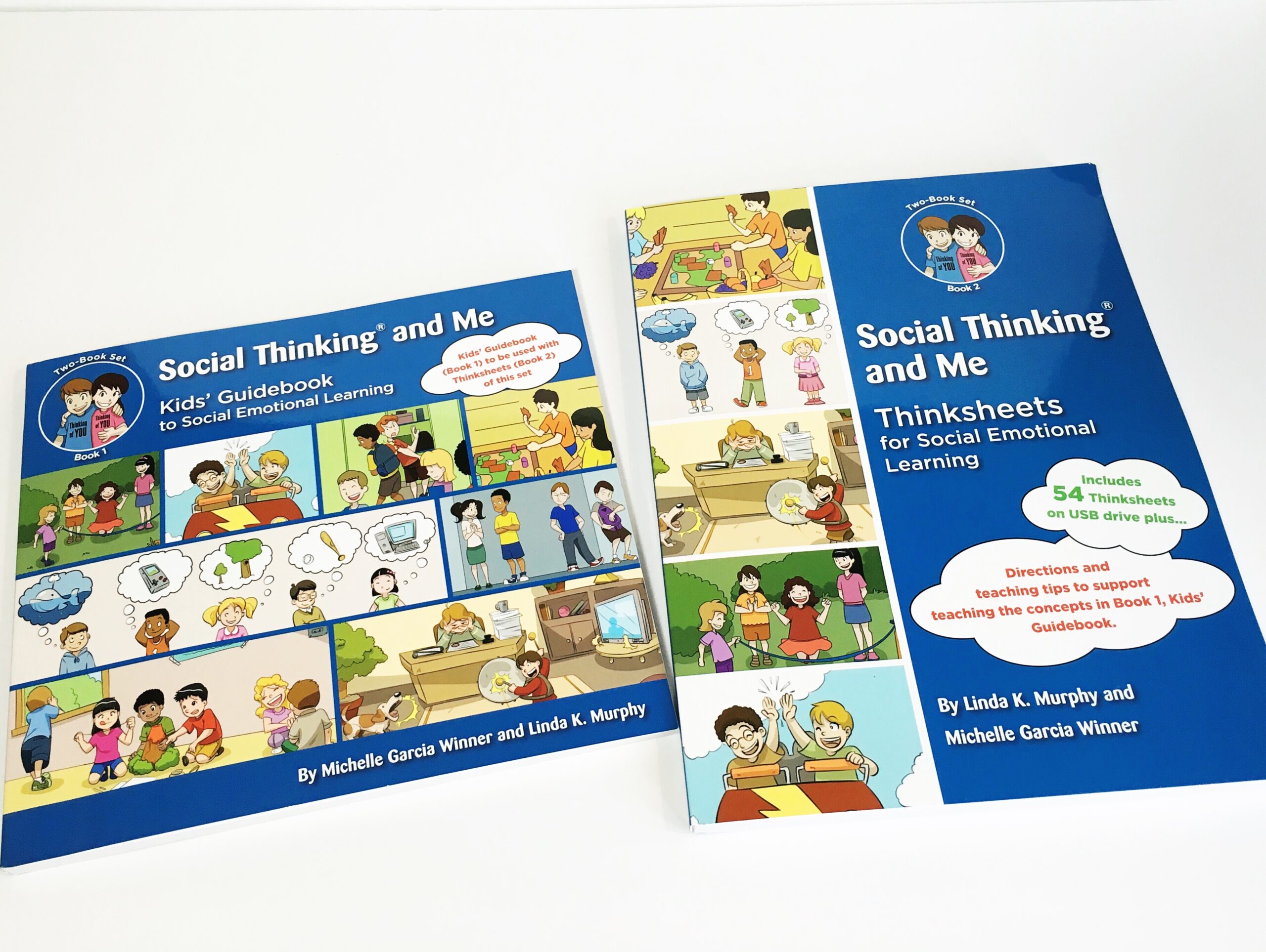 Social Thinking and Me: Review