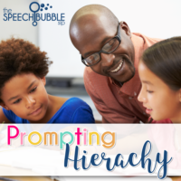 What is a Prompting Hierarchy?