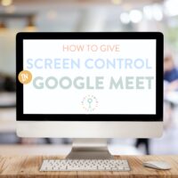 how to give screen control in Google meet